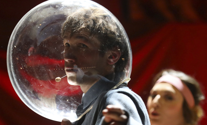 Водевиль Дилетант