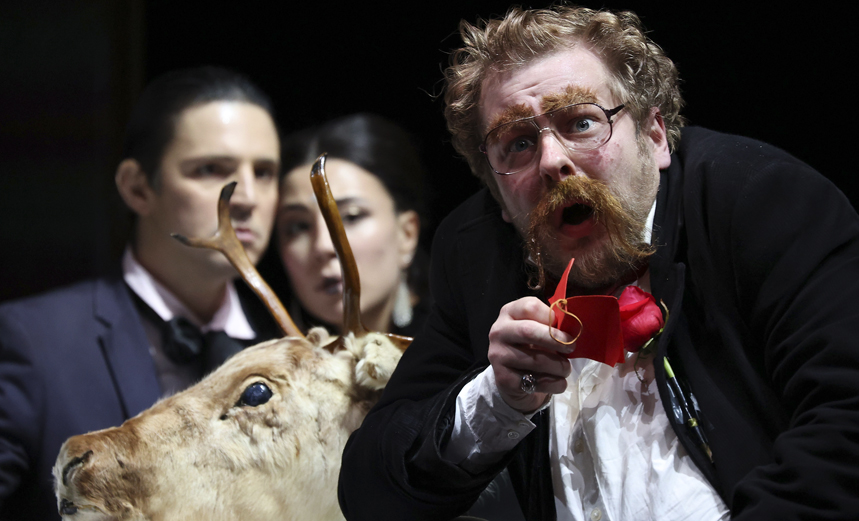 Жолдак Dreams: похитители чувств