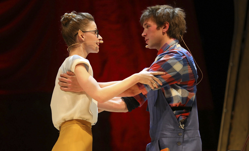 Водевиль Дилетант